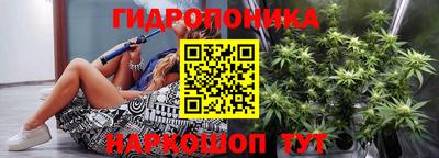 СК Севастополь