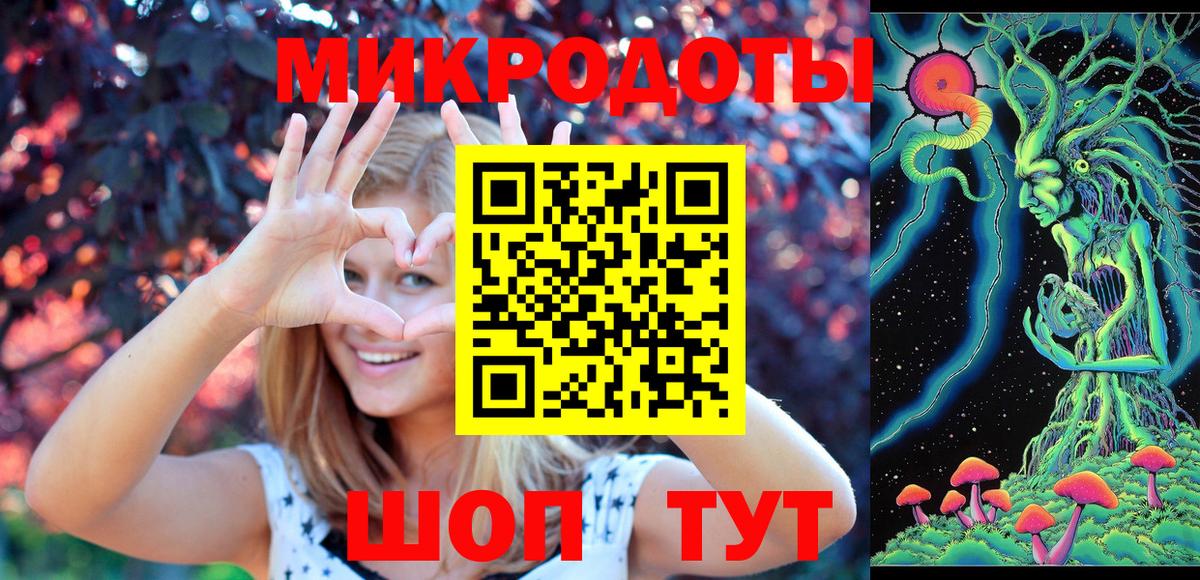 Галлюциногенные грибы Psilocybe Скопин